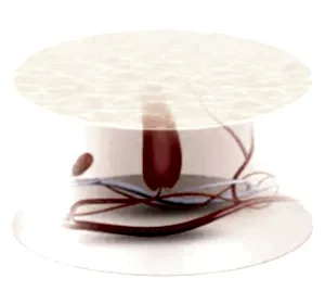 После процедуры лазерной эпиляции