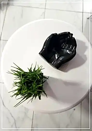 Фото студии лазерной эпиляции и удаления тату - Taiti Алматы