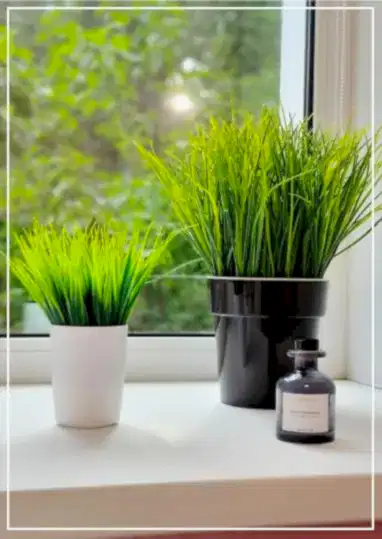 Фото студии лазерной эпиляции и удаления тату - Taiti Алматы